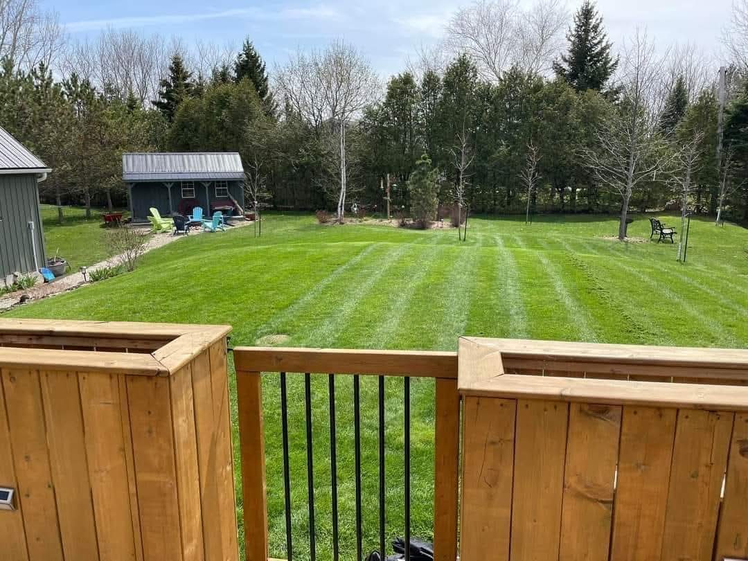 Well-maintained backyard