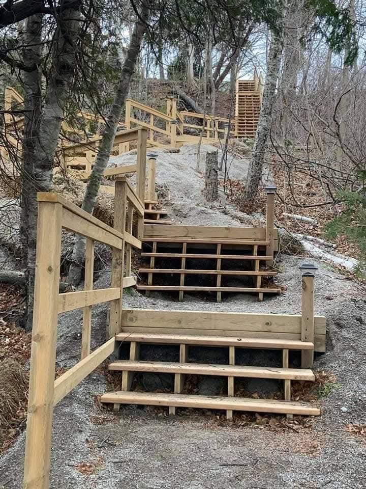 Wooden walkway through natural landscape